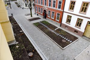 På bildet ser vi noen store blomsterbed i gatetunet i Deichmans gate/Wilses gate. En skulle nesten ikke tro at disse er spesialbygde for å ta opp store mengder vann.