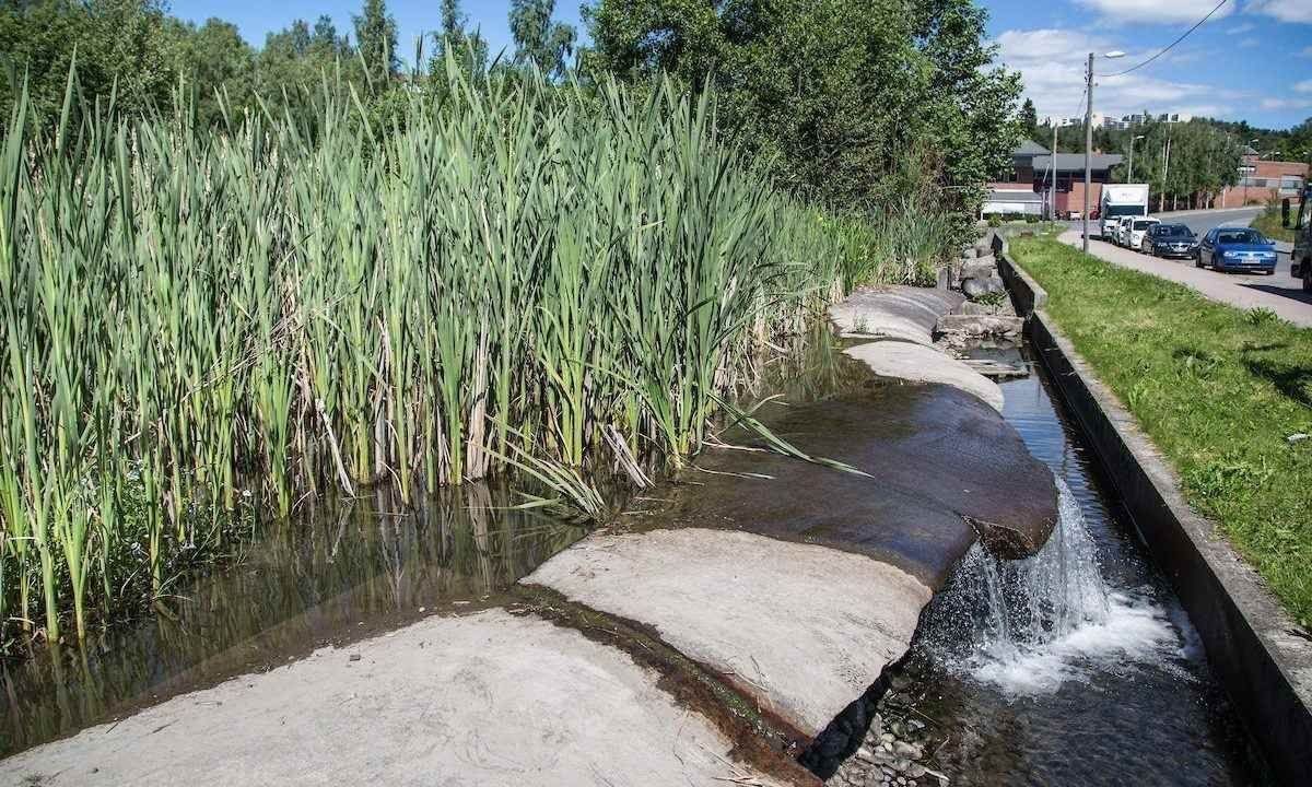 Elv, stein og grønt gress i Hølaløkka vannpark