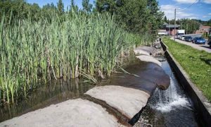 Elv, stein og grønt gress i Hølaløkka vannpark