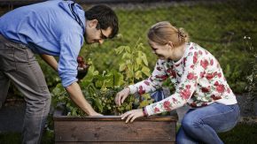 Plant containers. Urban gardening in Oslo