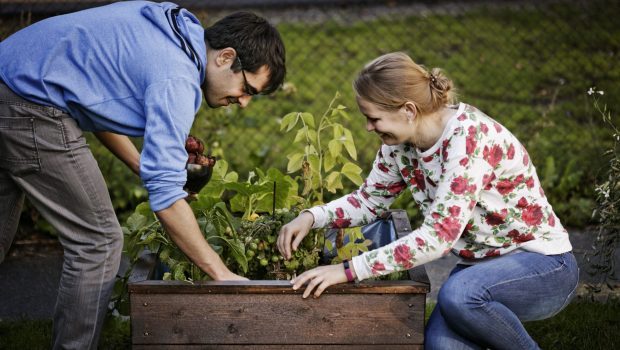 Plant containers. Urban gardening in Oslo