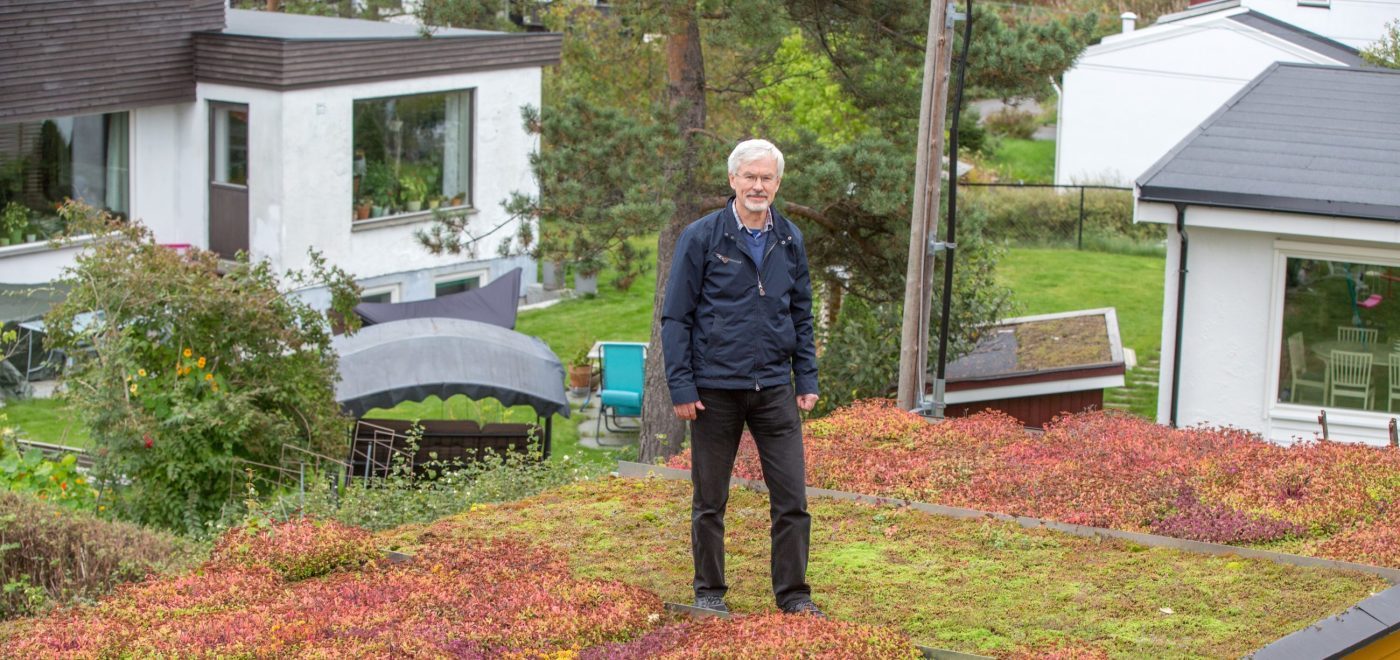 Bent C. Braskerud står på garasjetaket med tre typer plantedekke.