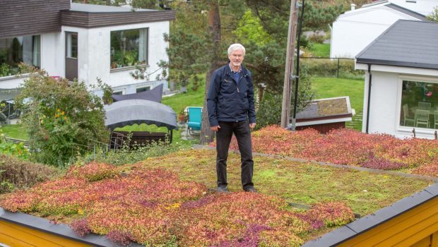 Bent C. Braskerud står på garasjetaket med tre typer plantedekke.