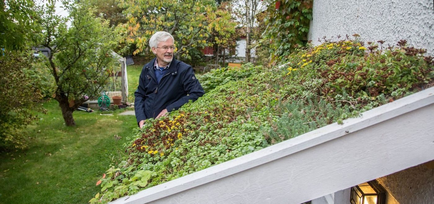 Bent C. Braskerud tester ut flere grønne tak på huset sitt og på inngangspartier.