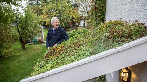 Bent C. Braskerud tester ut flere grønne tak på huset sitt og på inngangspartier.