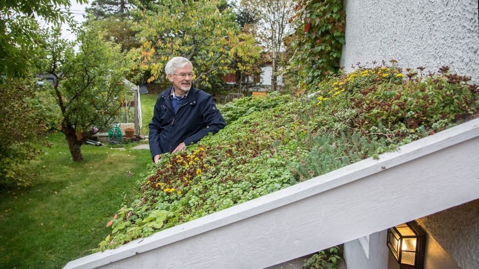 Bent C. Braskerud tester ut flere grønne tak på huset sitt og på inngangspartier.