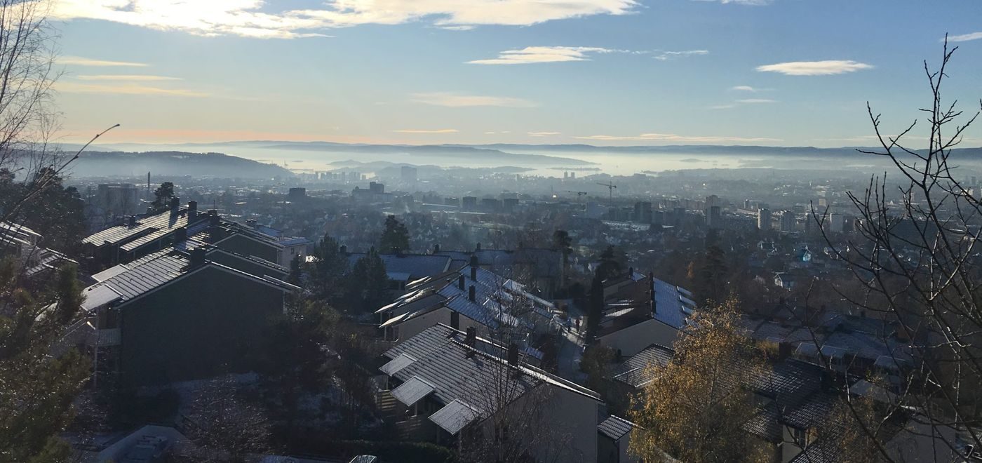 Skyline-bilde over Oslo. Tatt fra Akebakkeskogen i Oslo. Viser oversikt over byen og Oslofjorden.