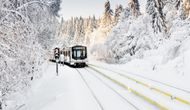 T-bane som kjører i vinterlandskap, omgitt av snøtunge trær