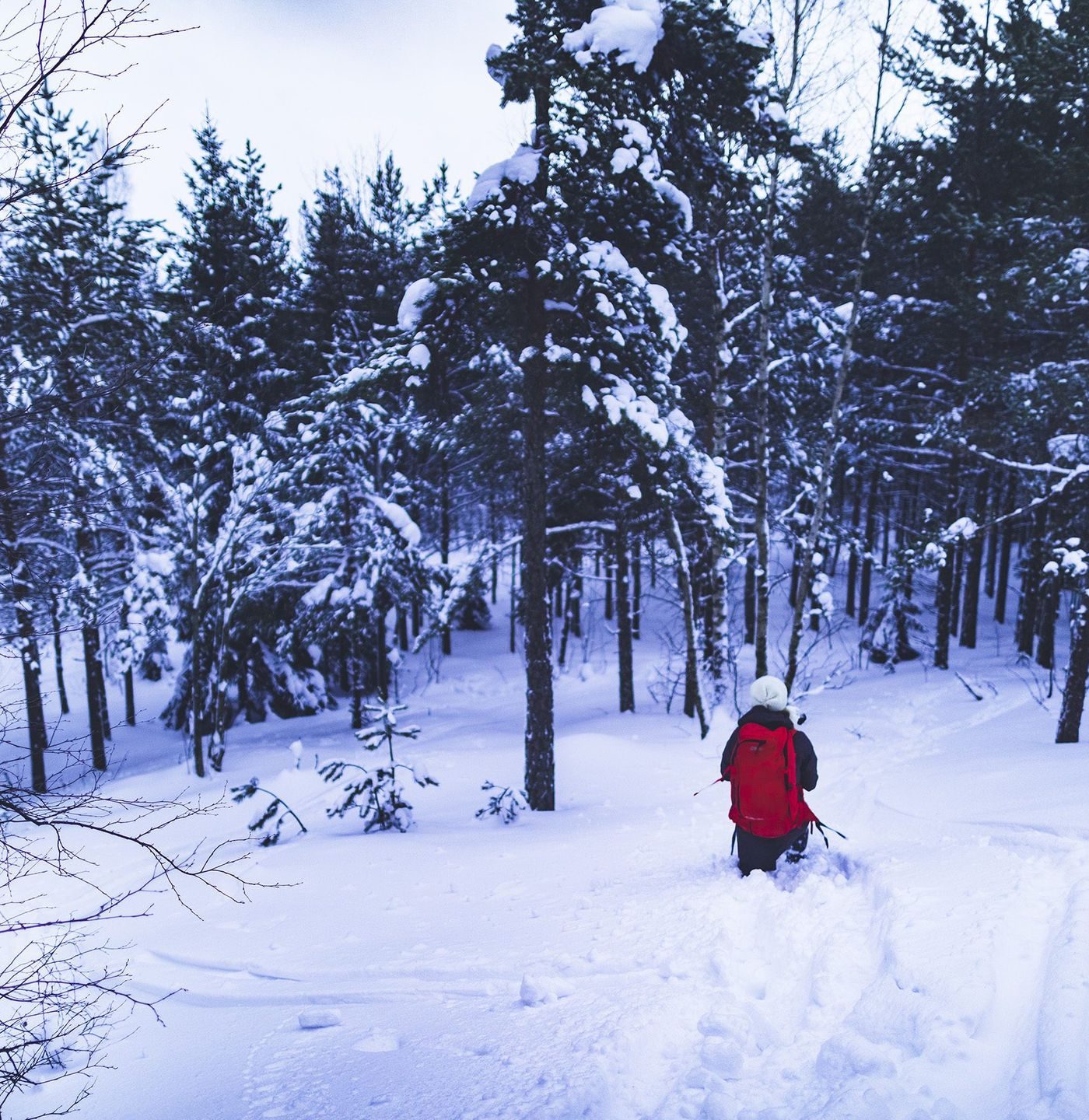 Leave the beaten track on av winter break in Oslo