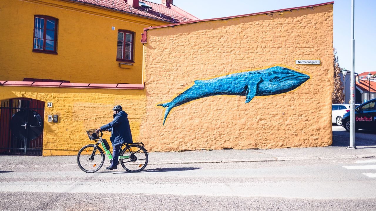 hjemmehjelpen på hjul