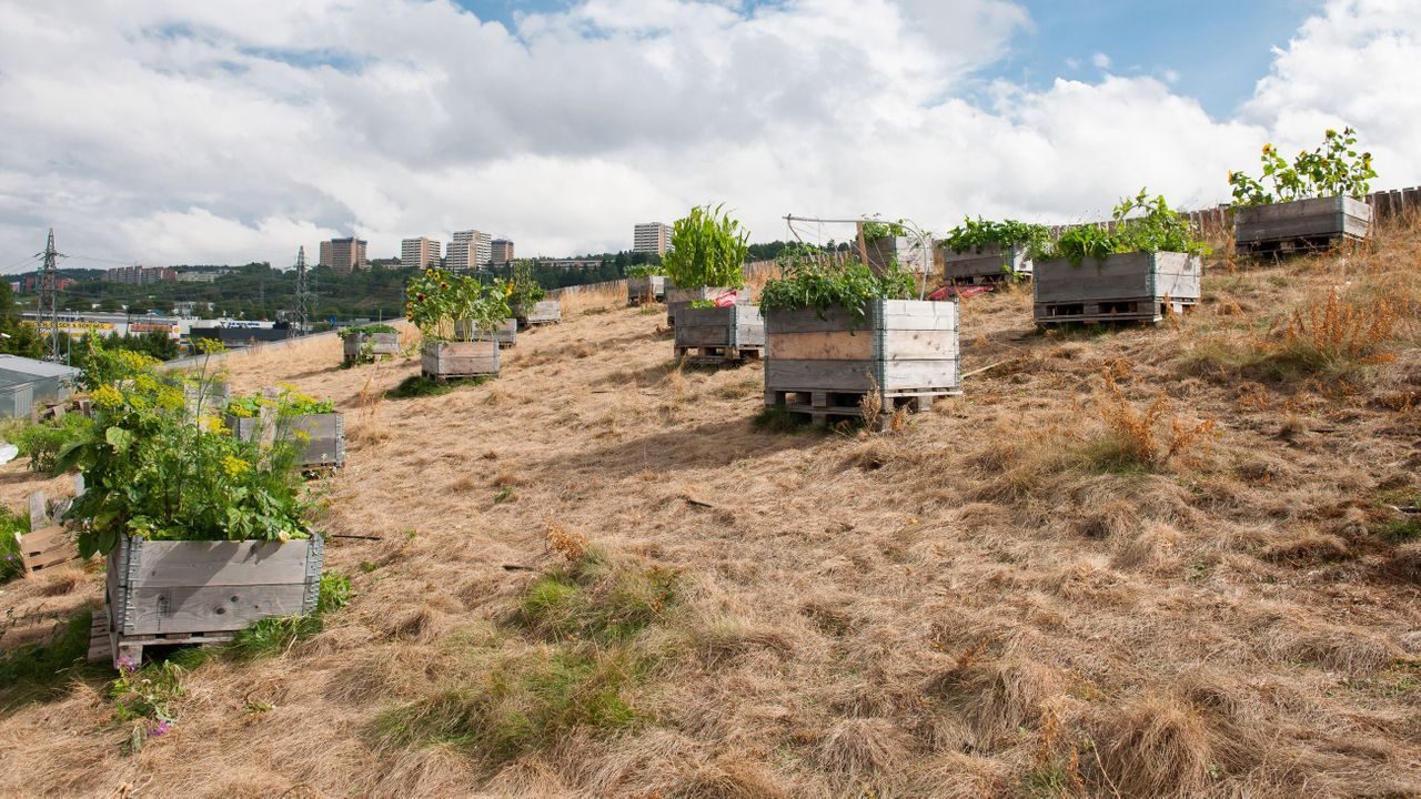 På Alna senter finner du en av Oslos takhager