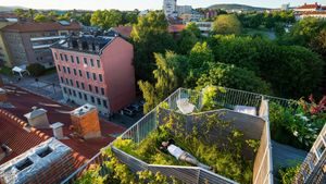 På Dælenenga finner du en av Oslos takhager