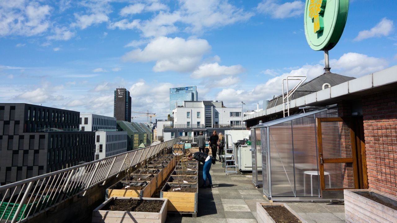 I Gamlebyen finner du en av Oslos takhager