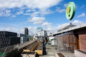 I Gamlebyen finner du en av Oslos takhager