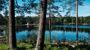 Steinbruvann med tre i forgrunn