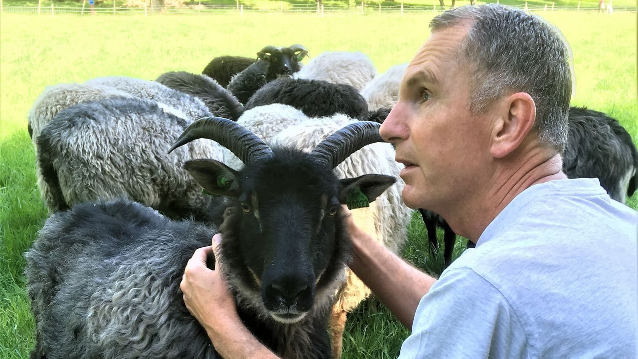 Sauer som jobber for biologisk mangfold