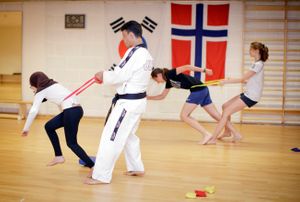 sommerjobb som takwnodo-instruktør