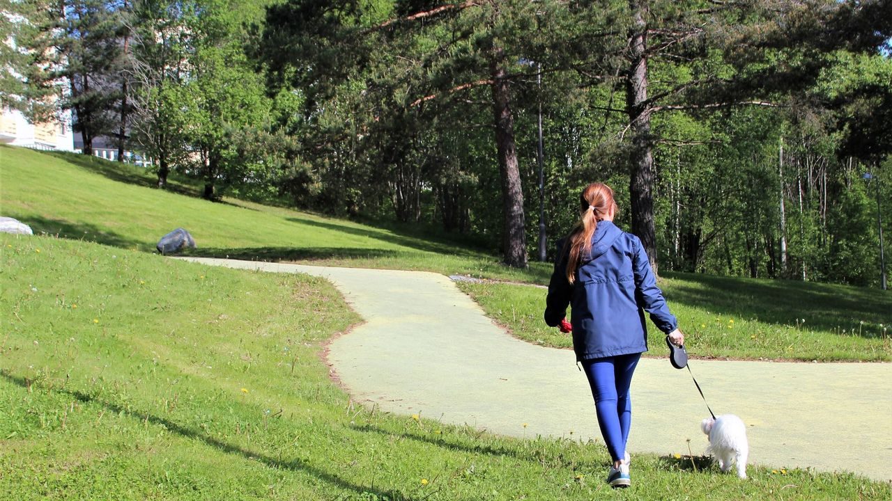 Oslos parker: Verdensparken