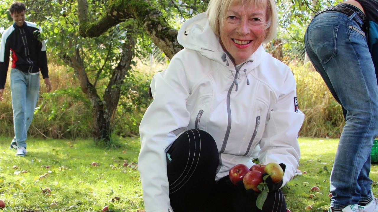 epleplukking med Lif Laga