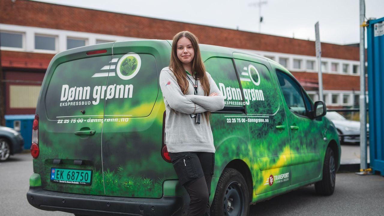 dønn grønn elvarebil