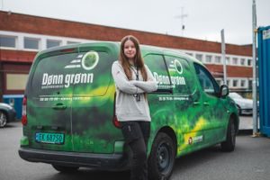 dønn grønn elvarebil