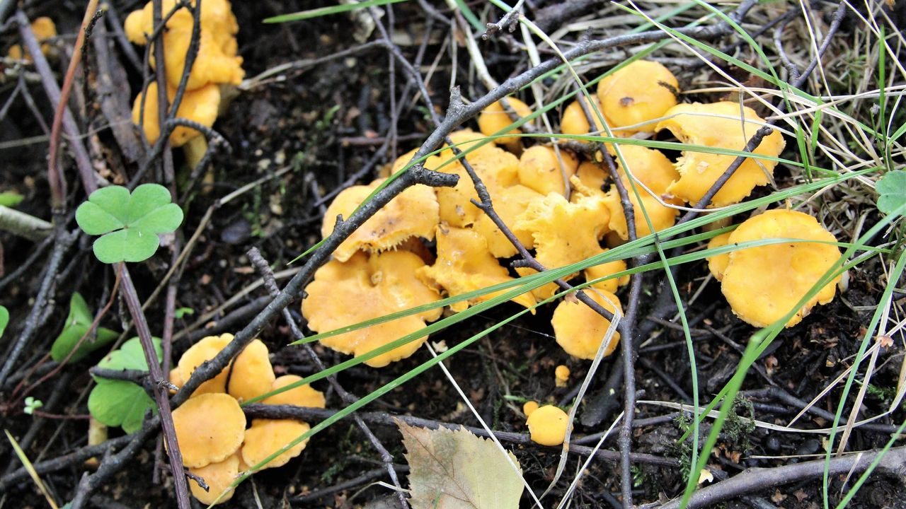 Oslos bekker og elver. Foto: Julie Messel