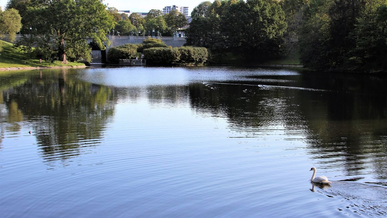 Oslos bekker og elver. Foto: Julie Messel