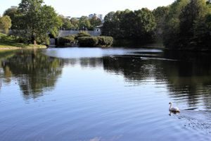 Oslos bekker og elver. Foto: Julie Messel