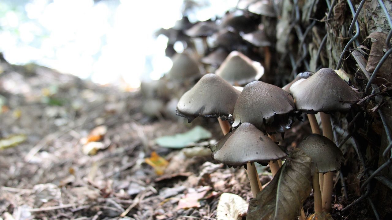 Oslos bekker og elver. Foto: Julie Messel