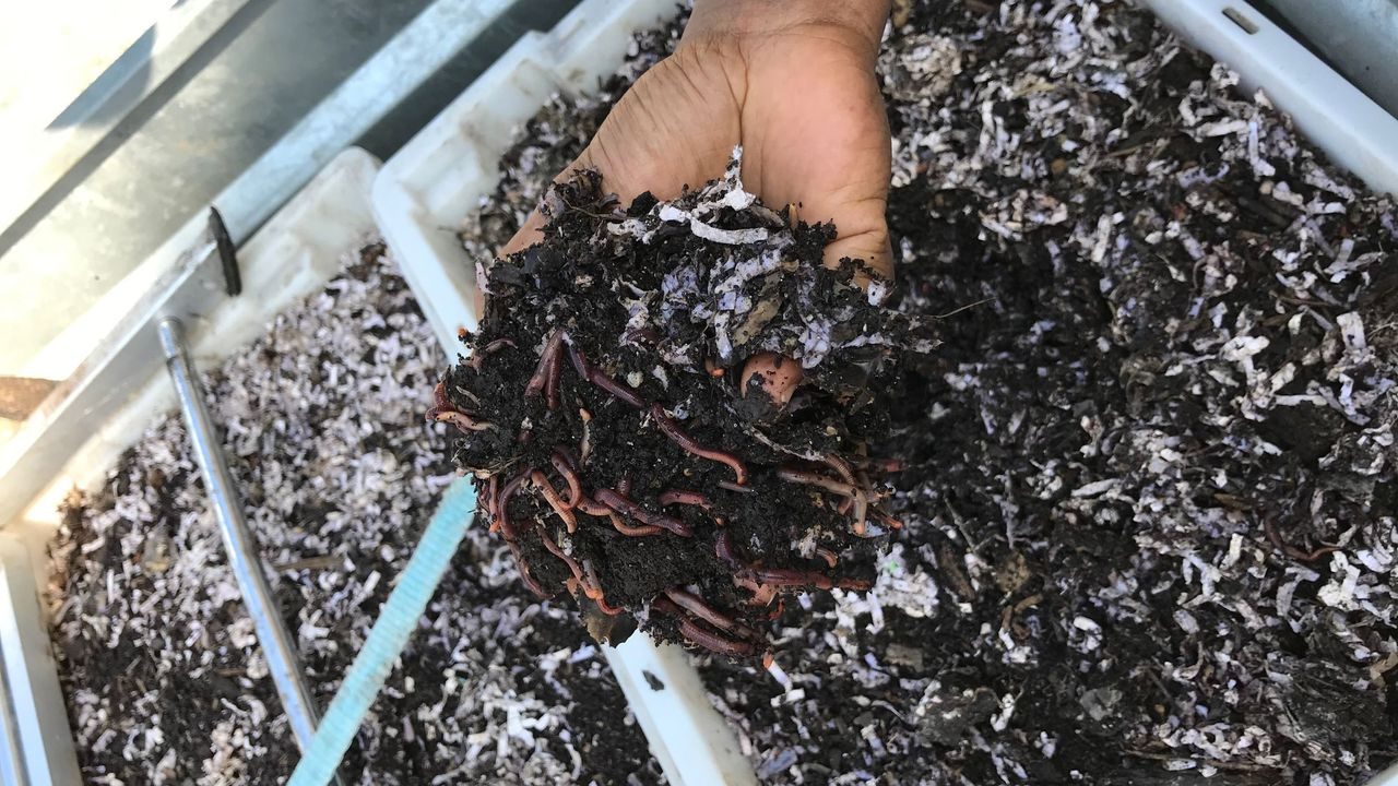 Barnehage med markkompostering