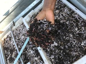 Barnehage med markkompostering