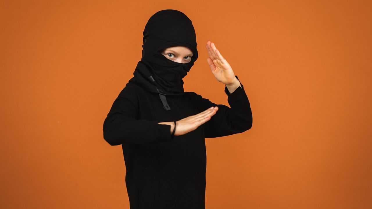 ninja