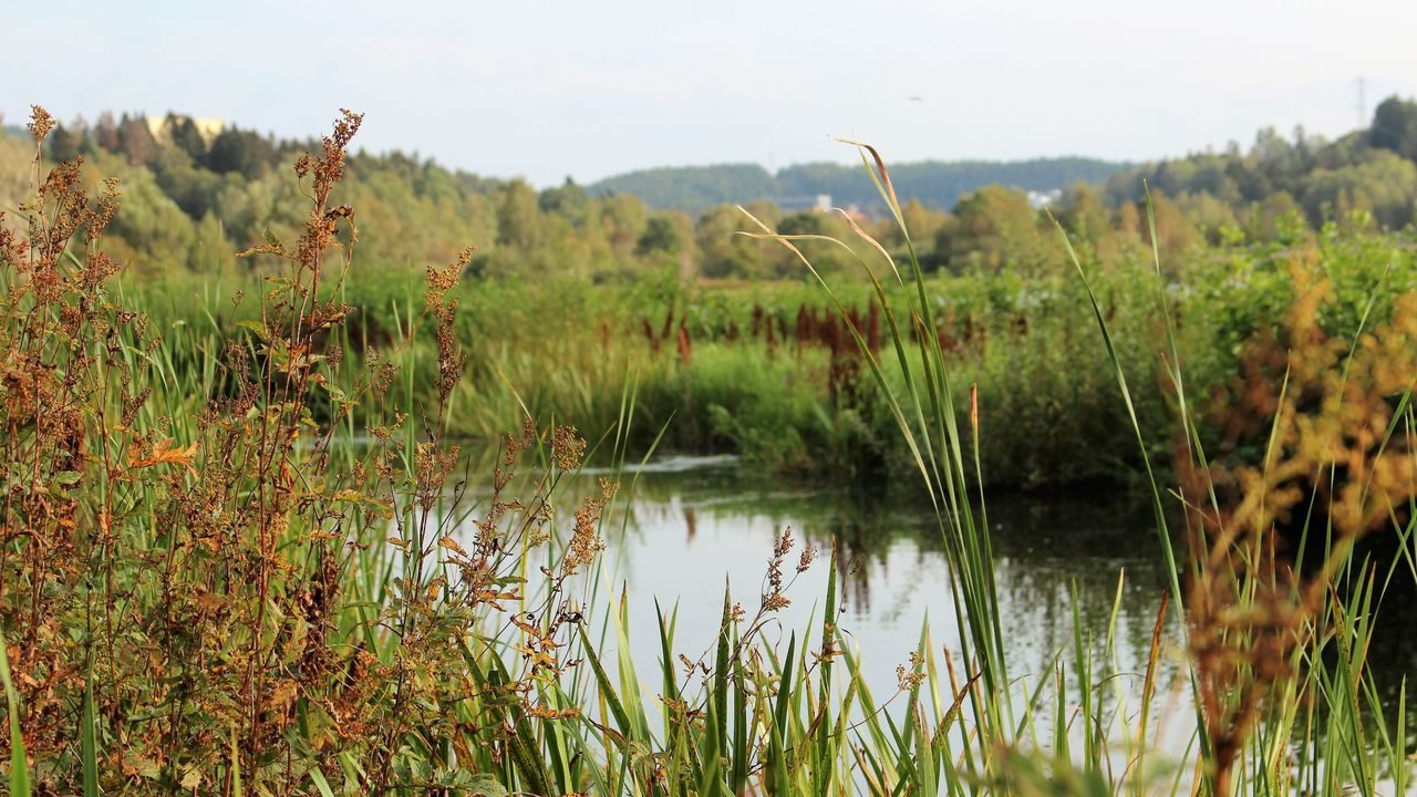 Oslos bekker og elver. Foto: Julie Messel