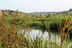 Oslos bekker og elver. Foto: Julie Messel