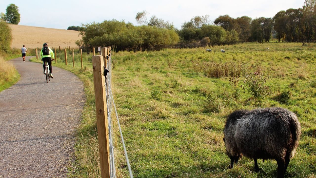 Oslos bekker og elver. Foto: Julie Messel