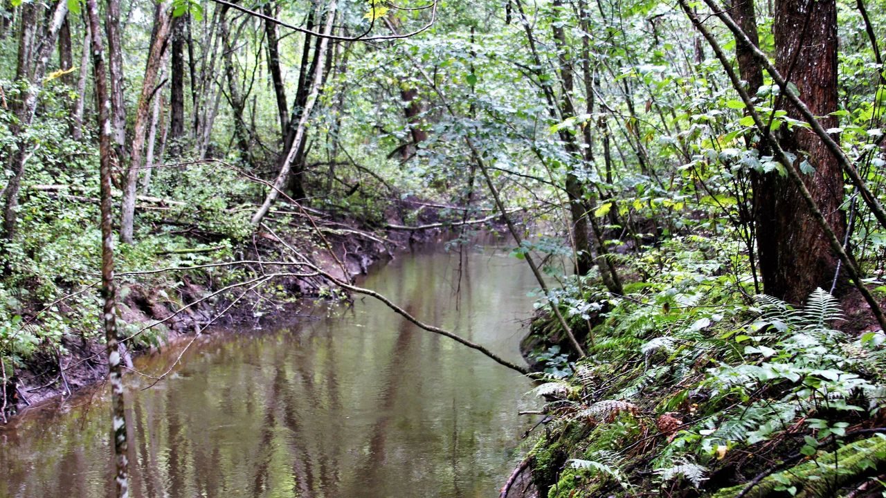 Oslos bekker og elver. Foto: Julie Messel