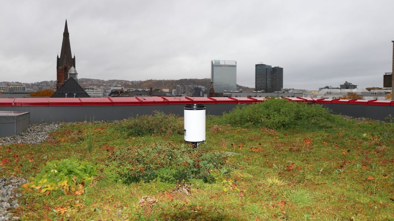 Blågrønt takk håndterer overvann