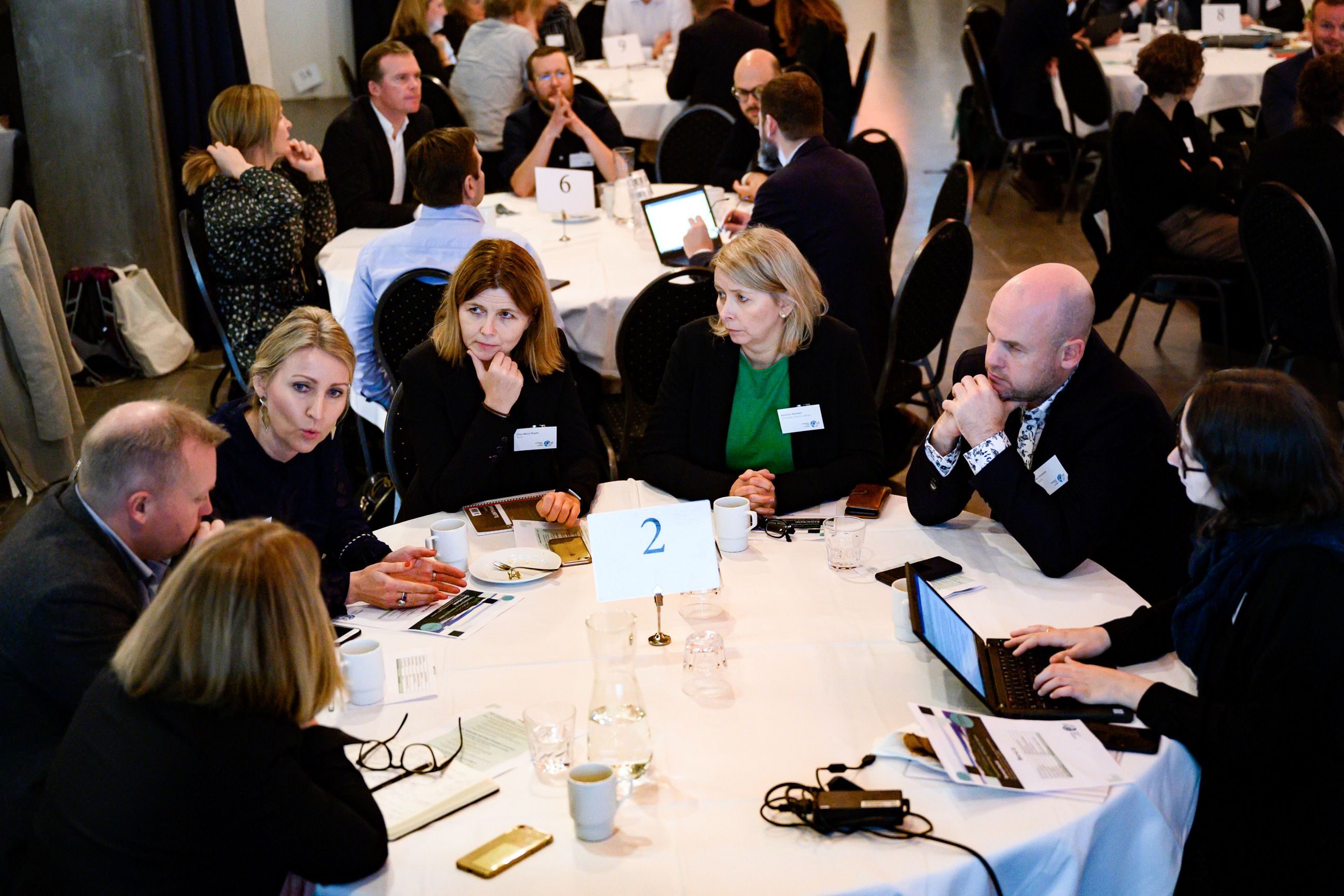 toppledersamling 2019