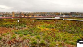 Blågrønt takk håndterer overvann