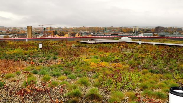 Blågrønt takk håndterer overvann