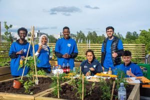 Miljøhovedstadsåret: Takhage på Furuset