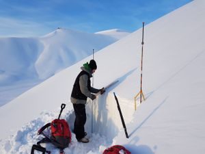 Klimatilpasning Svalbard