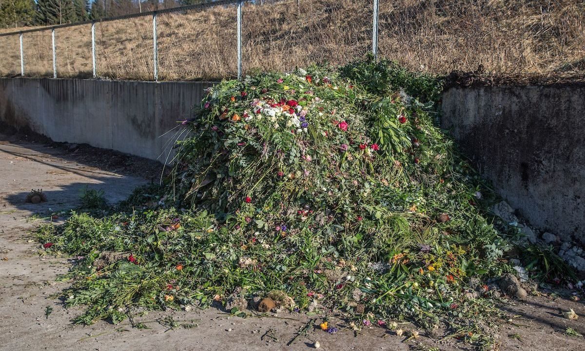 Lass med blomster som skal komposteres