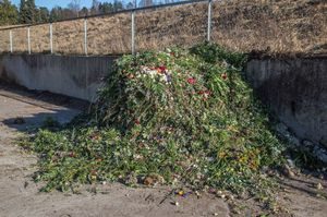 Lass med blomster som skal komposteres
