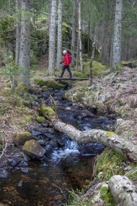 Liten bru over bekk. På tur til fots uten trengsel i Oslo