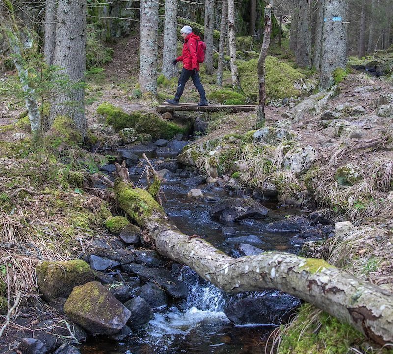 Liten bru over bekk. På tur til fots uten trengsel i Oslo