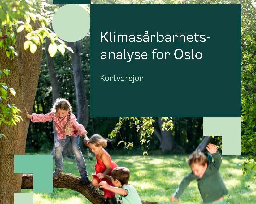 klimasårbarhetsanalyse