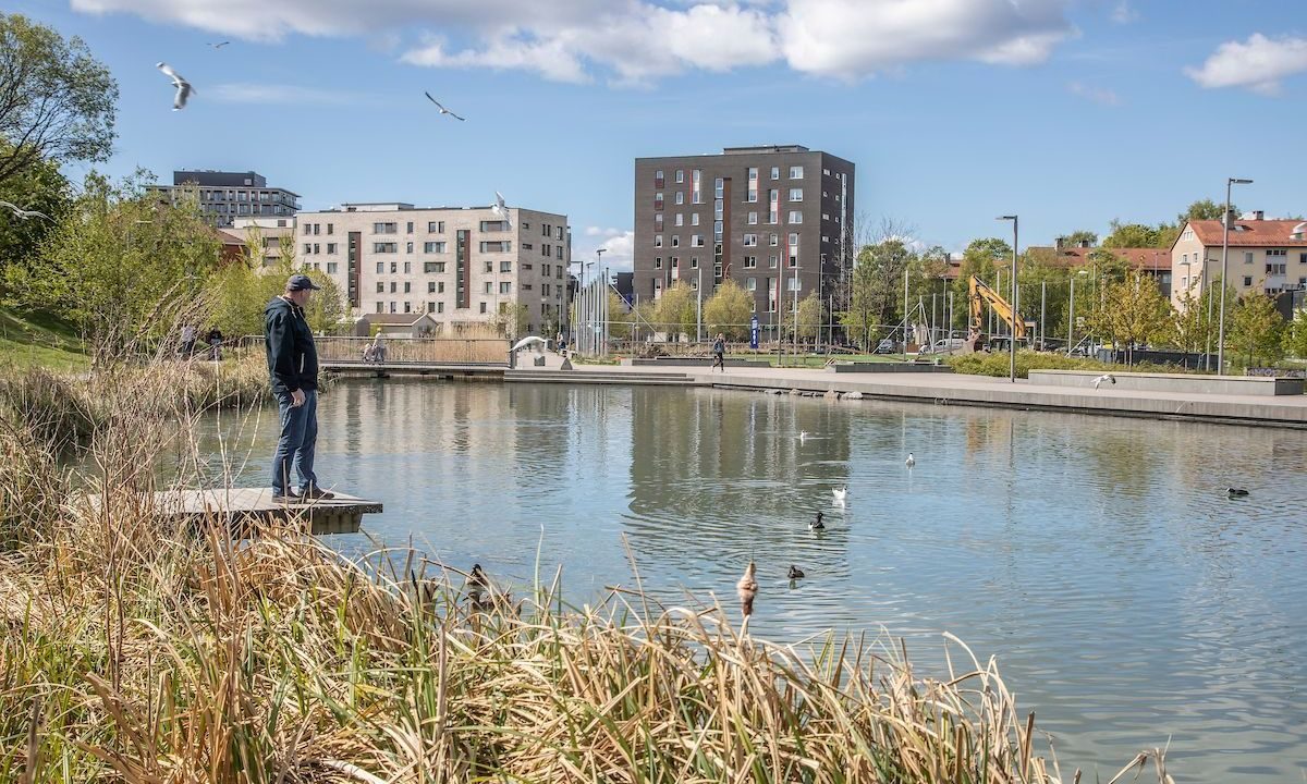 Omvei langs Teglverksdammen