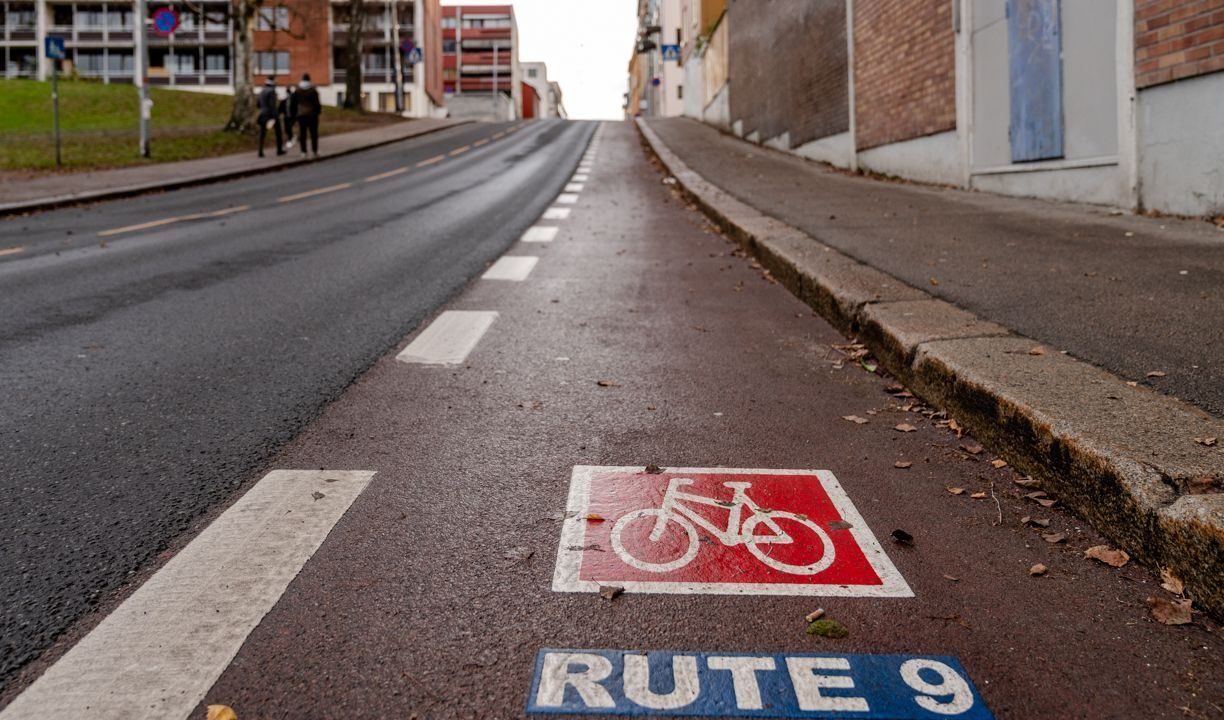 vintersykling: merket byrute i asfalten