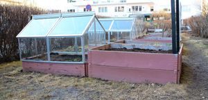 dyrking: mini-drivhus